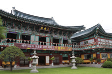 선학원 이사회, 사고사찰 지정으로 비판적인 분원 압박