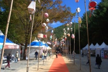 최치원문학관, 제1회 최치원문화제