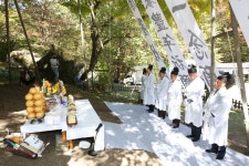 금산 진악산, 보석사 은행나무 대신제 봉행