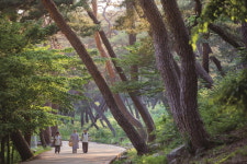 템플스테이 치유 효과 과학적으로 검증한다