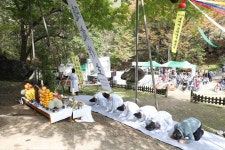 금산 진악산 보석사, 은행나무 대신제 봉행