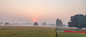 초기불교의 가르침을 기초로 깨달음 노래