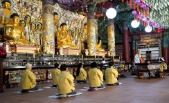 출가자 감소시대, 봉녕사에서 해답을 찾다