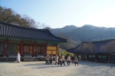 요가 배우러 왔는데… 불교를 더 배우고 간다