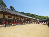 해인총림 해인사, 제64회 팔만대장경의 날(정대불사) 기념행사 봉행