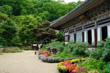 개방·포용·자연 친화 … 겸손한 한국불교가 좋다