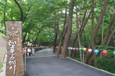 자원봉사하다 알았어요… 방향은 속도를 앞선다