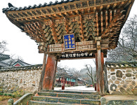 <62·끝> 코끼리는 토끼 다니는 길에서 놀지 않는다