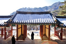 <4> 영화 생활의발견 속 춘천 청평사