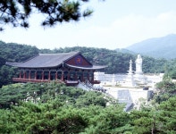 이번엔 대구 동화사…영남지역 청춘 다 모여라