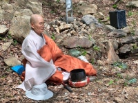 연두빛 물든 여주 주어사지에 화합의 오색연등 밝히다