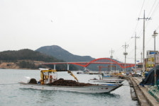 갈꽃섬이 아니라 징검다리 이슬섬이다