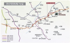 솔향기 가득한 둔내가 주는 세 가지 선물