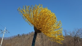 평화와 치유의 패러다임으로 분단의 상징을 다시 읽는다.