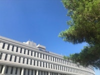 [이슈분석] 비리사학재단에 패널티 칼이냐 메스냐