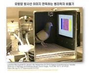 생명을 읽어내기 위한 5천억 번의 연산