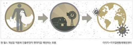 기후재앙과 인수공통감염병…원 헬스 실용성 논쟁