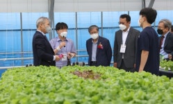 전남대 스마트영농창업단 인큐베이션 팜 개장