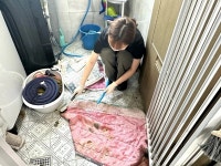 호남대 임상병리학과, 봉사동아리 동물 보호소 관리