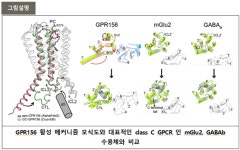 난청 이겨내는 희망의 시작을 알리다
