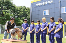 구미대 반려동물케어과, 동물보건사 양성기관 평가 인증 획득