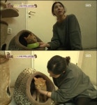 ‘동물농장’ 배다해, 음식 거부 고양이 거뒀다 ‘마음도 천사’