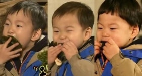 슈퍼맨이 돌아왔다 삼둥이, 하정우 뺨치는 김 먹방! “이모님 김 더 주세요!”