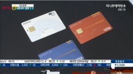 [해외직구 ‘불꽃’ 마케팅①] 카드사 '해외직구 쇼핑몰' 로 차별화