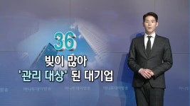 [숫자로 보는 세상] 빚 많아 관리대상된 36개 대기업…성우하이텍 추가