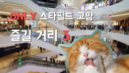 [암튼리뷰]하남에 없고 고양에 있다?! 스타필드 고양 즐길 거리 3