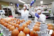 평택 산란노계에서 또 살충제 검출…이번 주만 세번째