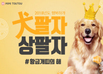 롯데닷컴, 황금개띠 해 맞아 반려동물용품 할인전