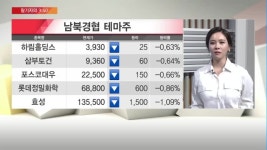 [람기자의 3시 40분] 실종된 주도주를 찾습니다 바이오주도 남북경협주도 아니다