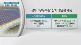 환경파괴 논란에 덜미 잡힌 친환경 에너지...속도 조절할까?