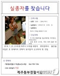 제주도 실종 여성, 공개 수사로 전환 ‘실족-범죄 등 다양한 가능성 열어두고 수사 중’