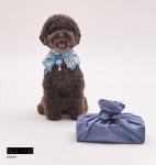 리카리카 X 복슬강아지, 반려견을 위한 한가위 콜라보 선물 세트 출시