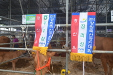 강원축산경진대회서 횡성,원주, 춘천 최우수상 입상