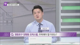 [돈 되는 부동산 정보] 영등포구 양평동 오피스텔 & 용산구 효창동 다세대주택