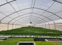 이지팜, 수경재배 스마트팜 구축 솔루션 팜토리 판매