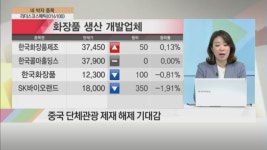 차돌네화장품 | [네박자 종목] 김진경 팀장 "화장품株 안정적 성장 예상…리더스코스메틱 유망"