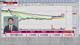[히든 스탁] 수익률 고공행진 히든 종목 다시보기
