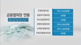 [뉴스후] 여신금융협회장 역대급 경쟁...얼마나 좋은 자리길래?