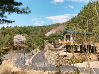 철원군, 두루웰 자연휴양림 개장 및 홈페이지 오픈