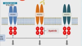 에이치엘비, 임상3상 중간결과 논란에 하한가