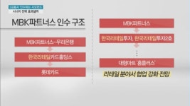 시너지액트파트너스 | 사모펀드 인수 2금융사, 시너지 카드로 활로 찾을까