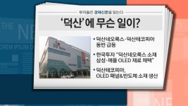 [부자들은 경제신문을 읽는다] 덕산네오룩스, 장중 신고가… 긍정적 시점 유효