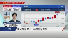 [시세포착] 해외 진출 성과 뚜렷한 의료기기株!