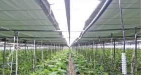 농식품 벤처 어벤저스?…이달의 A-벤처스에 현성부직포 선정