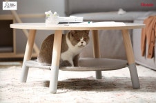 고양이 테이블 샀어요… 펫가구 산업 급성장