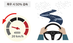 사고 위험 높아지는 장마철, 타이어 관리 어떻게 해야할까?